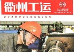 《衢州工运》2019年第68期，刊登了我公司工会主席汪培同志的《在创 文创卫工作中发挥科技的力量