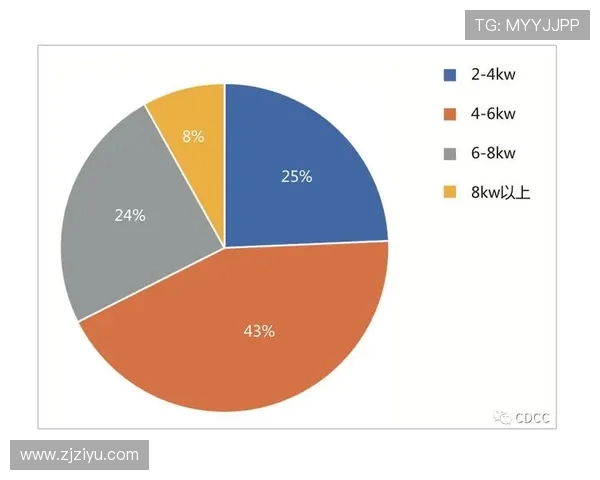 上海乒乓球队速度表现的数据分析与提升策略探讨