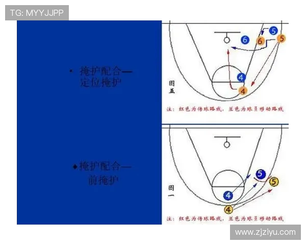 深入分析北京篮球队的区域防守策略与战术执行效果