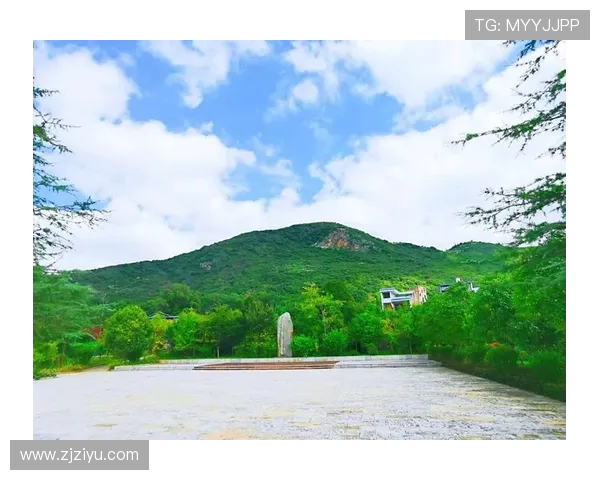 张昊的奋斗历程与成长故事揭示了追梦路上的坚持与勇气