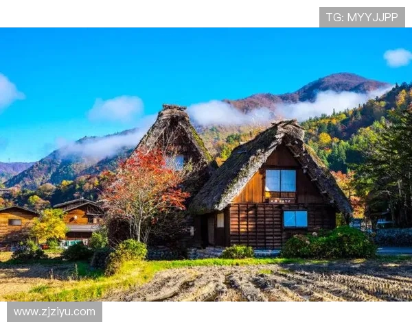 赞岐与岐阜的文化碰撞与美食对决探秘之旅