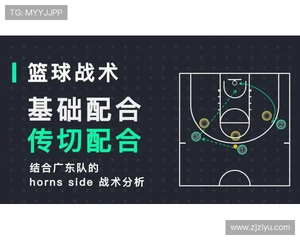 广州篮球队灵活性分析与战术创新探讨