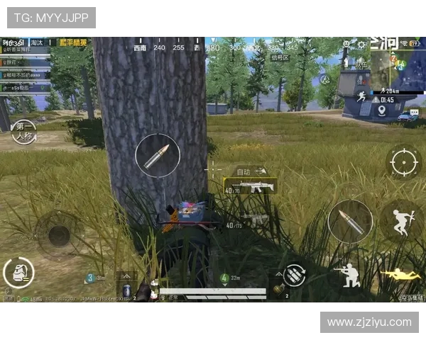 和平精英热议V5速度之争引发玩家热烈讨论与不同看法