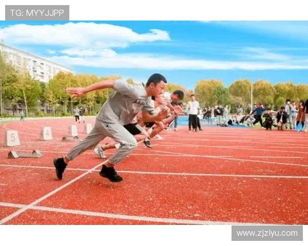 杭州乒乓球队的拼搏历程与辉煌成就全景回顾